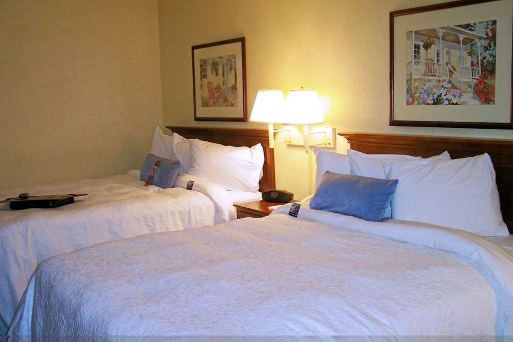 Hampton Inn Salem East - Electric Road Oda fotoğraf